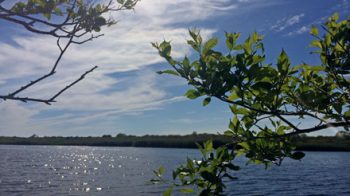 Miacomet Pond