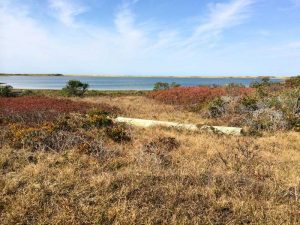 Tuckernuck Island
