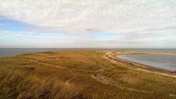 A view from Tuckernuck