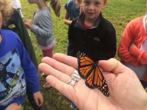 School Programs