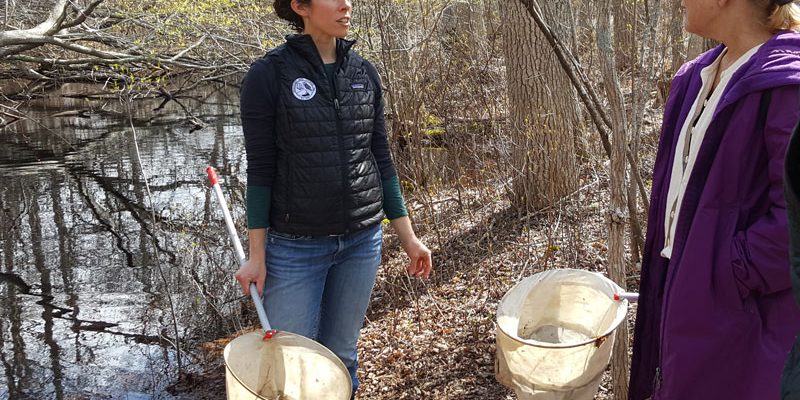 Staff led Vernal Pool Walk