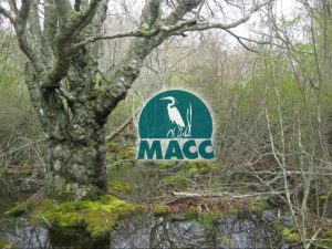 MACC Official Certification