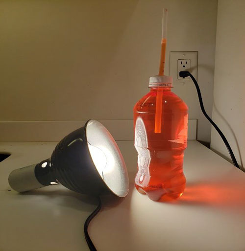 Bottle of red liquid headted by light