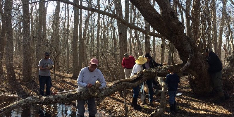 Vernal Pool