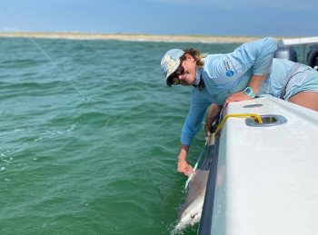 Shark Research Around Nantucket